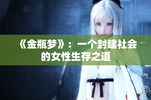 《金瓶梦》：一个封建社会的女性生存之道