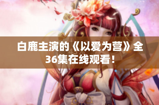 白鹿主演的《以爱为营》全36集在线观看！