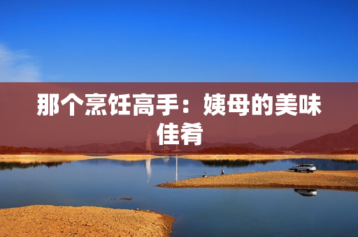 那个烹饪高手：姨母的美味佳肴