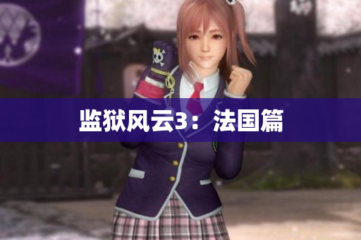 监狱风云3：法国篇