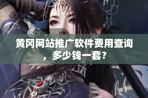 黄冈网站推广软件费用查询，多少钱一套？