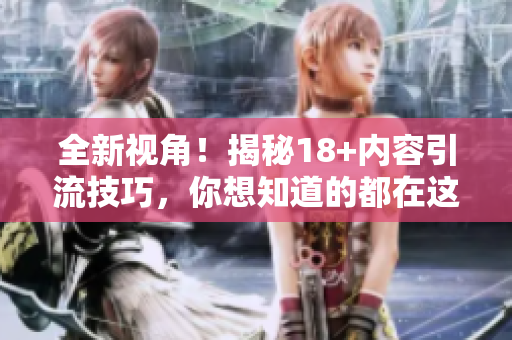 全新视角！揭秘18+内容引流技巧，你想知道的都在这里