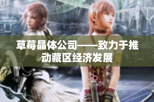 草莓晶体公司——致力于推动藏区经济发展