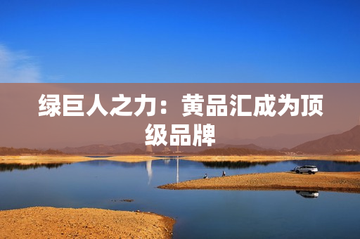 绿巨人之力：黄品汇成为顶级品牌