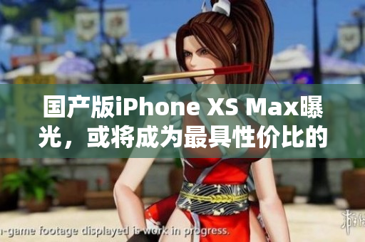 国产版iPhone XS Max曝光，或将成为最具性价比的选择