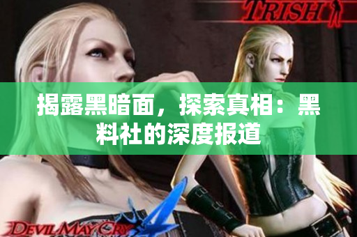 揭露黑暗面，探索真相：黑料社的深度报道