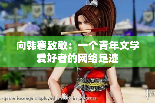 向韩寒致敬：一个青年文学爱好者的网络足迹