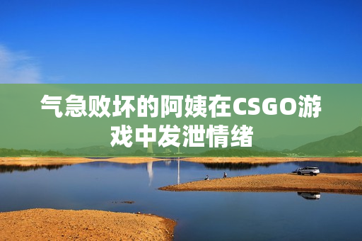气急败坏的阿姨在CSGO游戏中发泄情绪