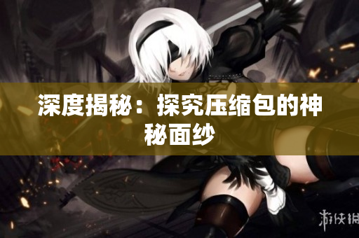 深度揭秘：探究压缩包的神秘面纱