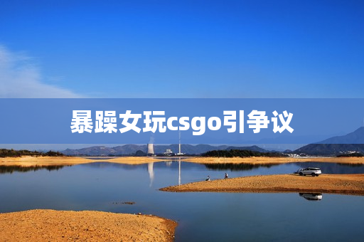 暴躁女玩csgo引争议