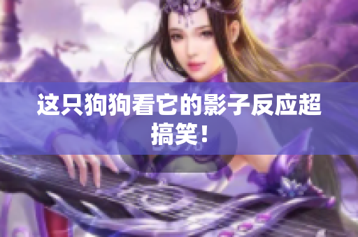 这只狗狗看它的影子反应超搞笑！
