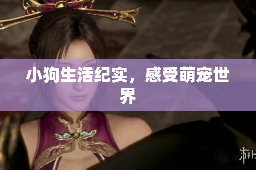 小狗生活纪实，感受萌宠世界