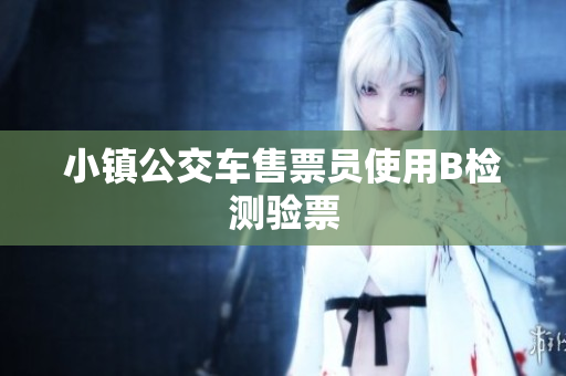 小镇公交车售票员使用B检测验票