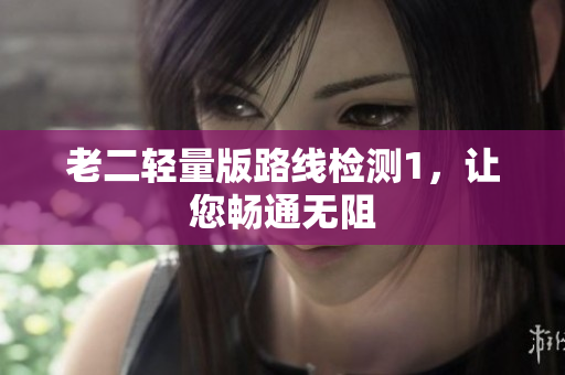 老二轻量版路线检测1，让您畅通无阻