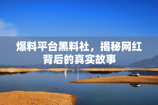 爆料平台黑料社，揭秘网红背后的真实故事