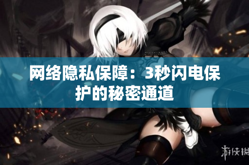 网络隐私保障：3秒闪电保护的秘密通道