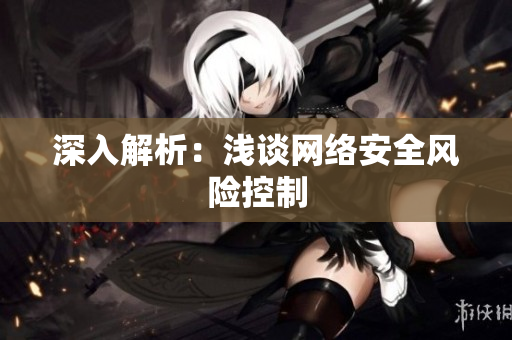 深入解析：浅谈网络安全风险控制