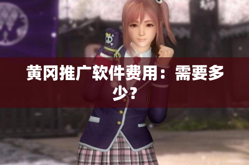 黄冈推广软件费用：需要多少？