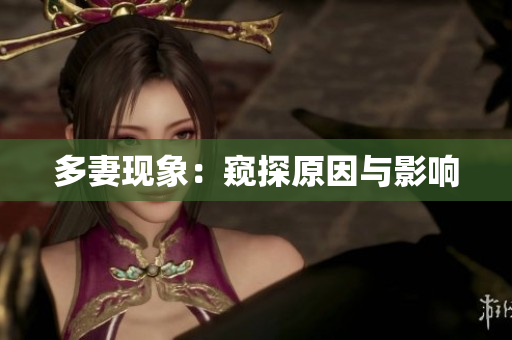 多妻现象：窥探原因与影响