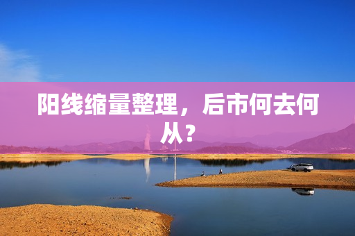 阳线缩量整理，后市何去何从？