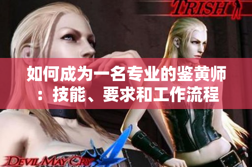 如何成为一名专业的鉴黄师：技能、要求和工作流程