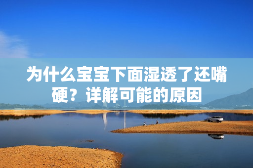 为什么宝宝下面湿透了还嘴硬？详解可能的原因