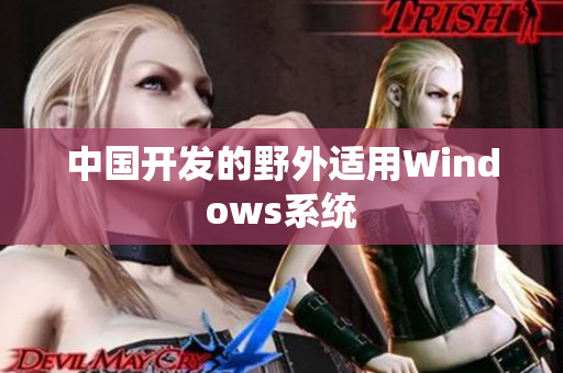 中国开发的野外适用Windows系统