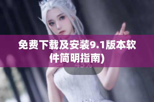 免费下载及安装9.1版本软件简明指南)