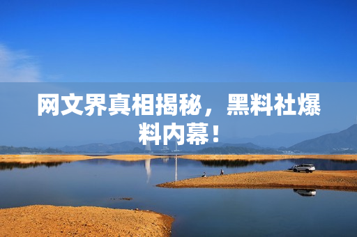 网文界真相揭秘，黑料社爆料内幕！