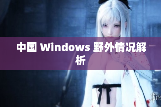 中国 Windows 野外情况解析