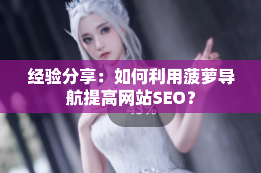 经验分享：如何利用菠萝导航提高网站SEO？