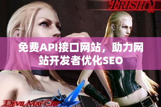免费API接口网站，助力网站开发者优化SEO