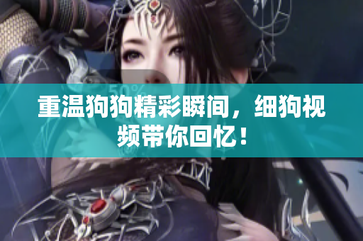 重温狗狗精彩瞬间，细狗视频带你回忆！