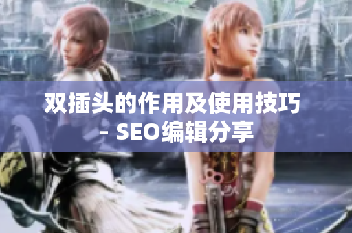 双插头的作用及使用技巧 - SEO编辑分享