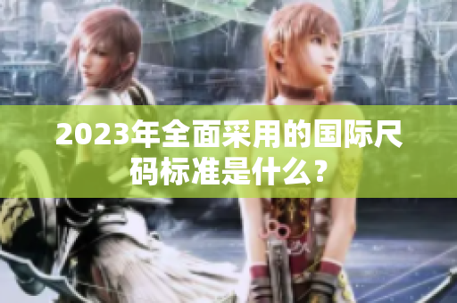 2023年全面采用的国际尺码标准是什么？