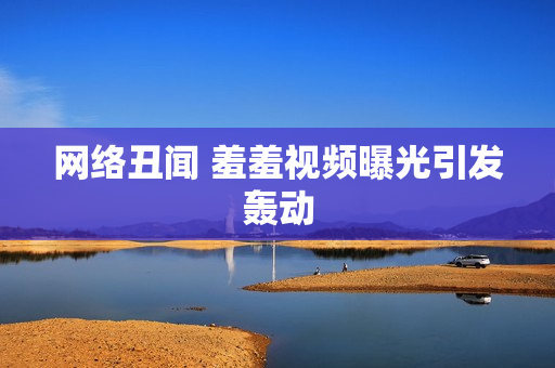 网络丑闻 羞羞视频曝光引发轰动