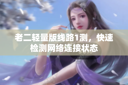 老二轻量版线路1测，快速检测网络连接状态