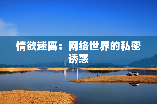 情欲迷离：网络世界的私密诱惑