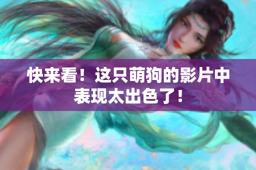 快来看！这只萌狗的影片中表现太出色了！