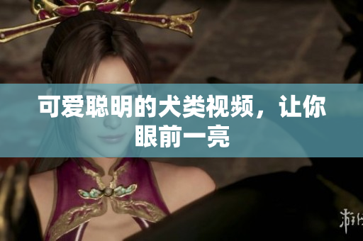 可爱聪明的犬类视频，让你眼前一亮