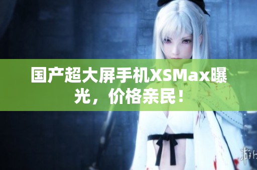 国产超大屏手机XSMax曝光，价格亲民！