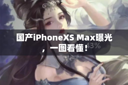 国产iPhoneXS Max曝光，一图看懂！