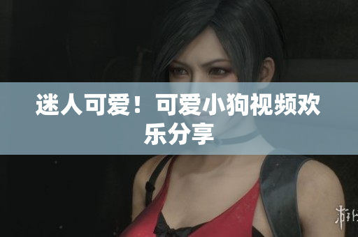 迷人可爱！可爱小狗视频欢乐分享