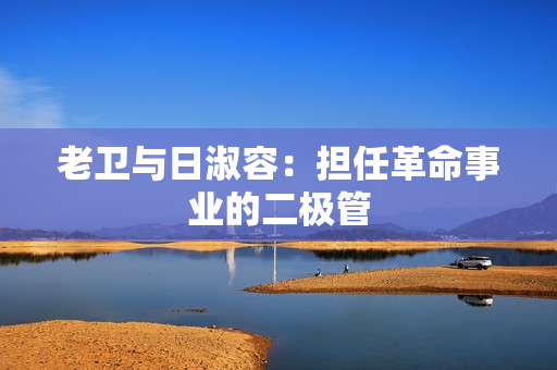 老卫与日淑容：担任革命事业的二极管