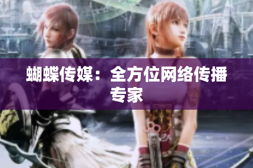 蝴蝶传媒：全方位网络传播专家