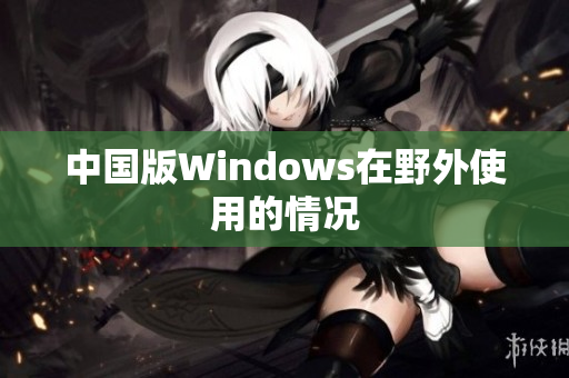 中国版Windows在野外使用的情况