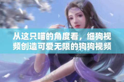 从这只喵的角度看，细狗视频创造可爱无限的狗狗视频！