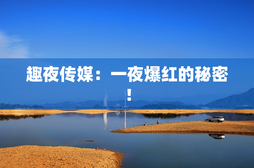 趣夜传媒：一夜爆红的秘密！