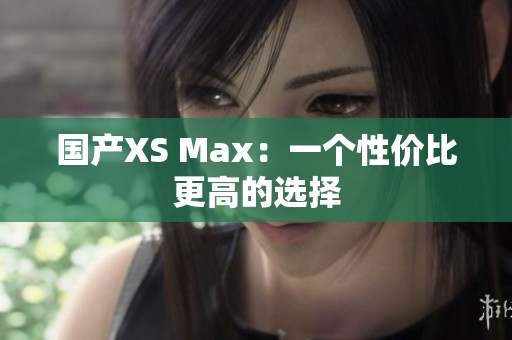 国产XS Max：一个性价比更高的选择