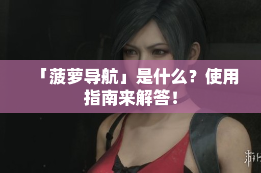 「菠萝导航」是什么？使用指南来解答！